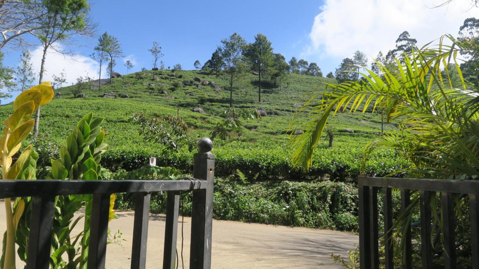Nilowin Glenanore Guesthouse Haputale Luaran gambar
